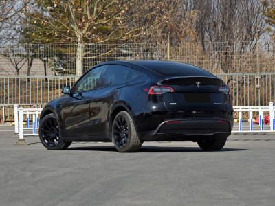 Tesla Model Y  Фото №6